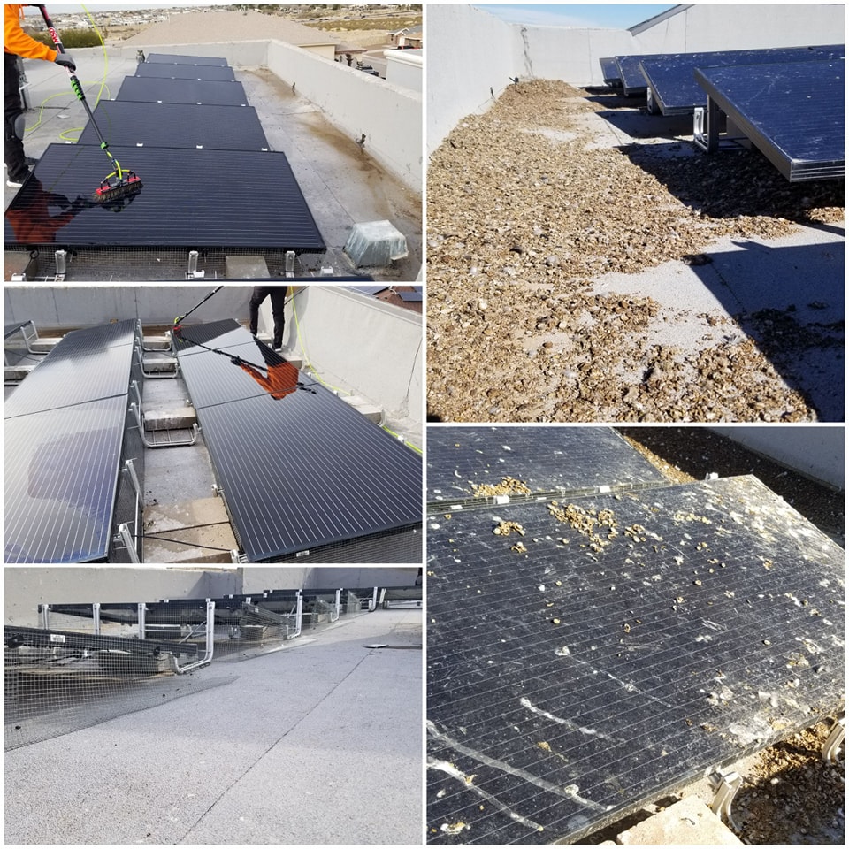 Bird droppings removal from roof - Solar Panel Cleaning El Paso TX